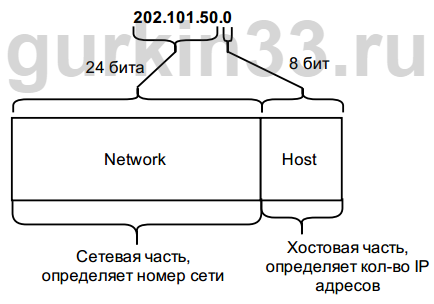 Рисунок 4.2 Структура номера сети класс С