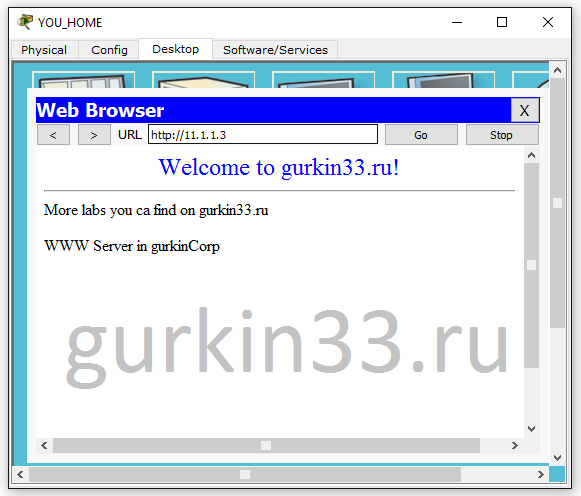 Рисунок 6.5 Проверка Static NAT с ПК YOU_HOME